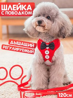 Распродажа  Размеры: 37-47 