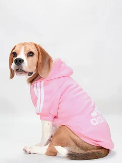 Распродажа  Размеры: 42 37 32 47 27 52 