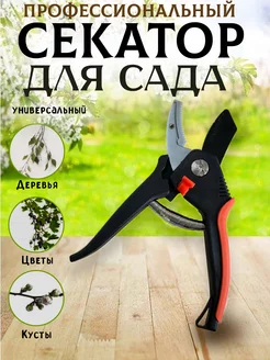 Распродажа 
