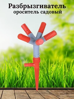 Распродажа 