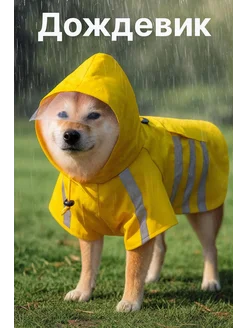 Распродажа  Размеры: 1-2кг 2-3кг 3-5кг 5-9кг 